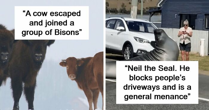 75 Iconic Animal Photos From All Over The World