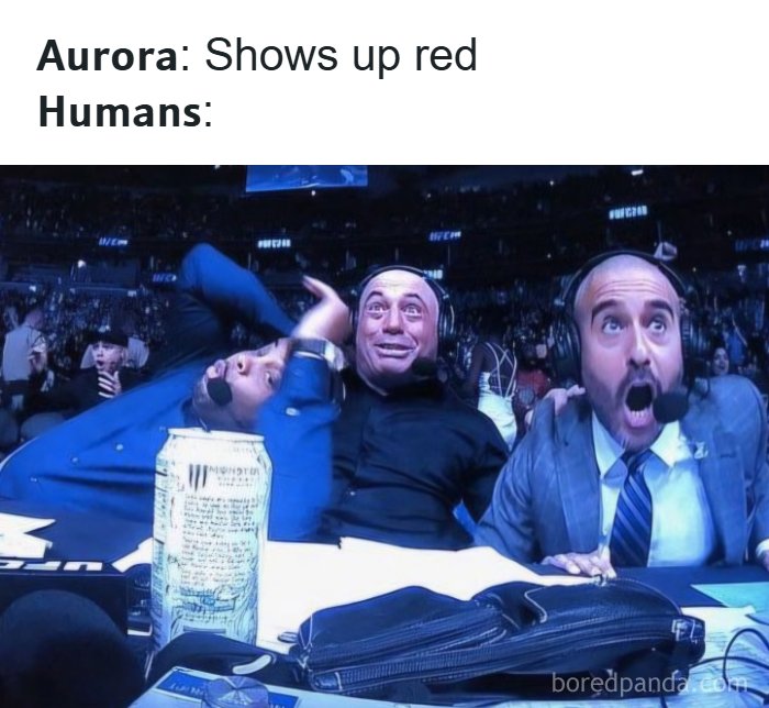 A meme showing surprised commentators with the text: Aurora: Shows up red, Humans:. Relatable memes about living in Alaska.