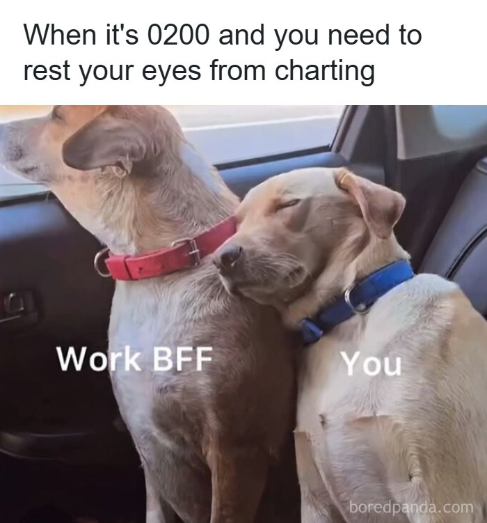 Two dogs resting in a car with text about work and charting, a funny healthcare meme highlighting tiredness during night shifts.
