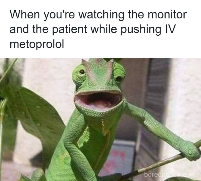 Chameleon with a surprised expression illustrating funny healthcare memes about multitasking during patient care.