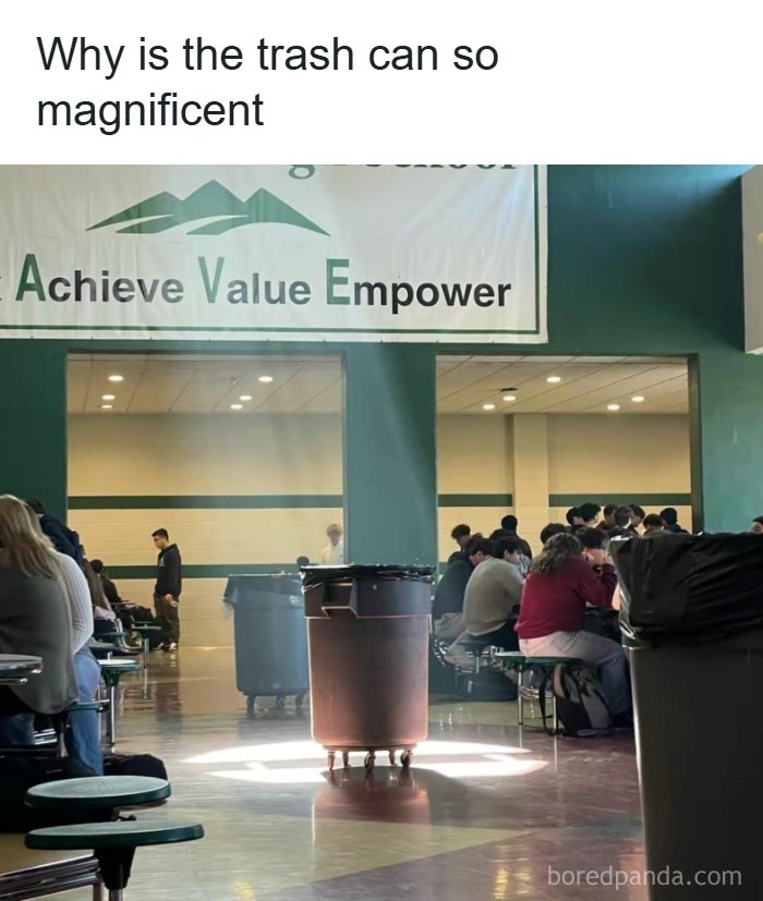 A school cafeteria with a trash can dramatically lit by sunlight, making it look magnificent. One of many unhinged pics.