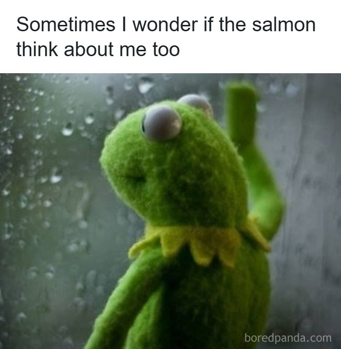 Kermit the Frog looking thoughtfully out a rainy window with a meme caption. Hilarious memes living in Alaska.