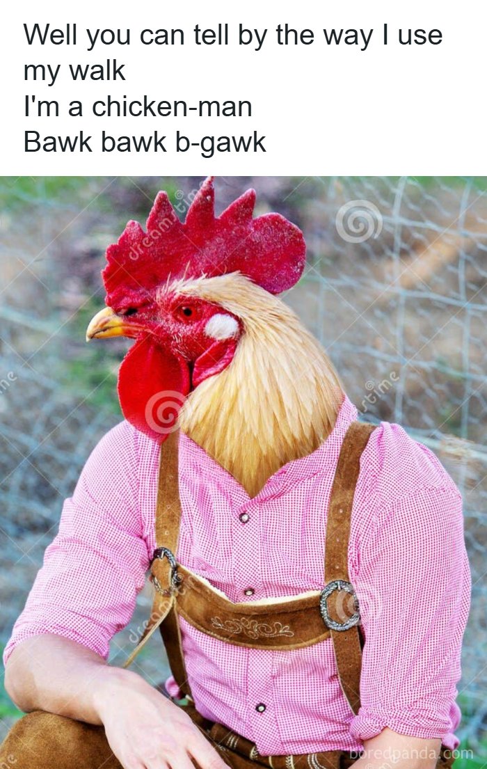 A confusing and unhinged image of a person with a chicken head wearing traditional clothing in an outdoor setting.