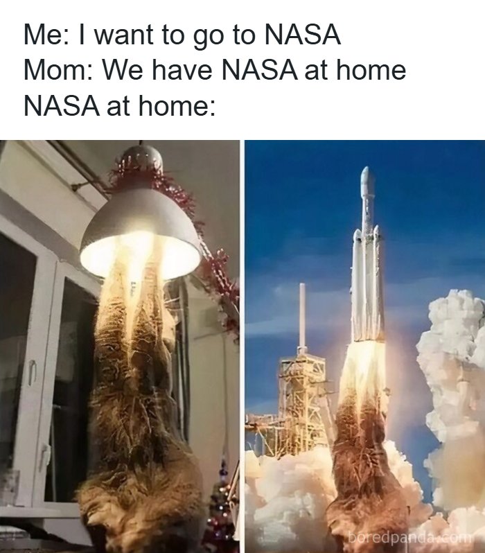 Meme showing a cat under a lamp photoshopped as a rocket launch, illustrating why people pay for the internet memes.