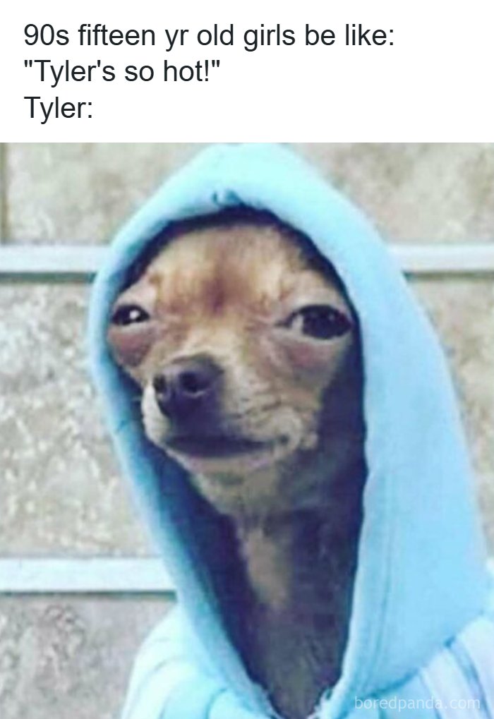 90s meme featuring a dog in a blue hoodie with a caption about fifteen-year-old girls and Tyler's popularity.