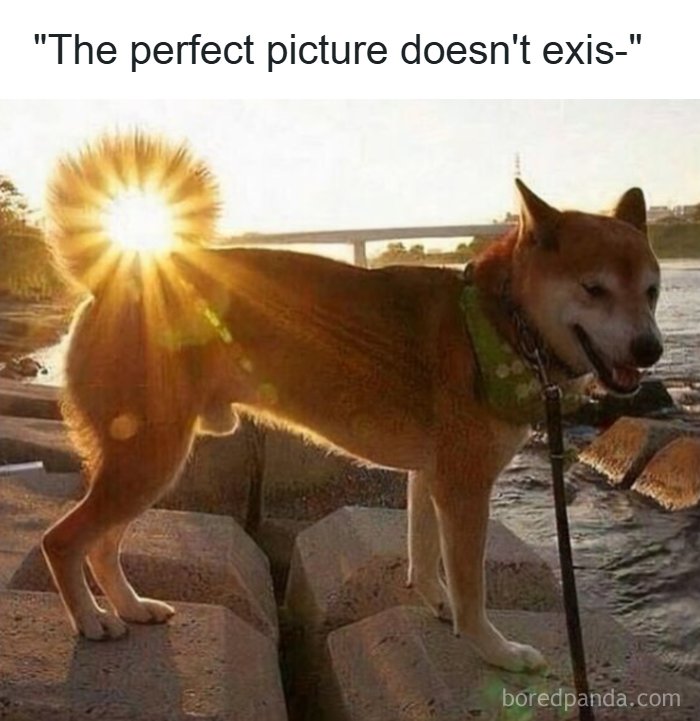 53 Wholesome Internet Finds That Might Just Lift Your Mood