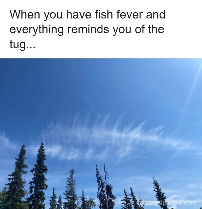 A funny meme about living in Alaska: wispy clouds in a blue sky resemble a tugboat's wake, with a line about fish fever.