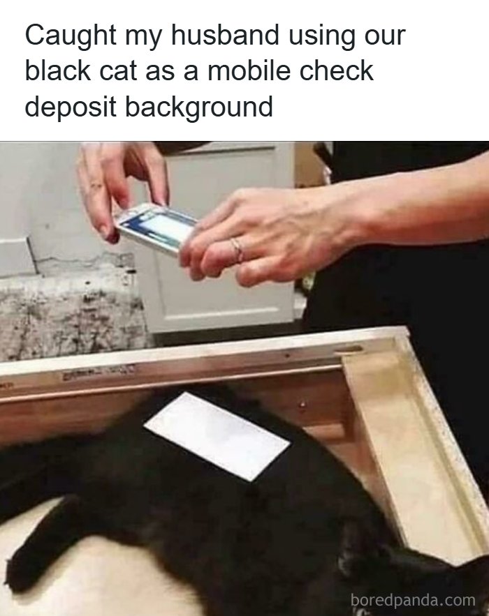 Black cat used as a mobile check deposit background showing capitalism humor with cats having jobs nowadays.