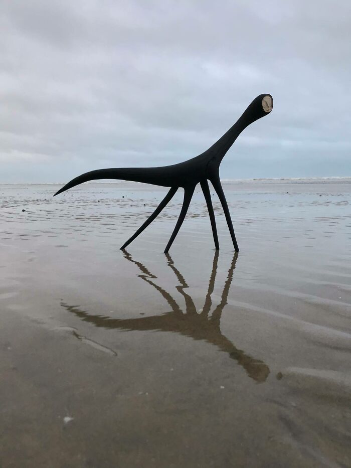 Fantastical Wood Creatures Tach Pollard