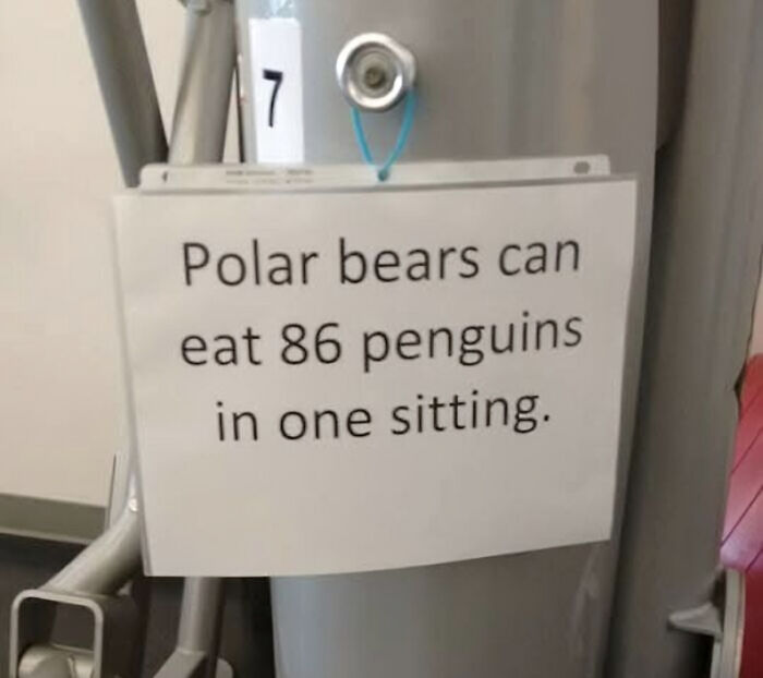 Sign on gym equipment humorously stating polar bears can eat 86 penguins in one sitting, a Darwin Award contender moment.