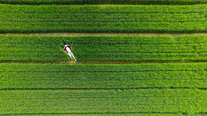 Aerial view of a person lying in a lush green field, a satisfying picture for a gentle reset.