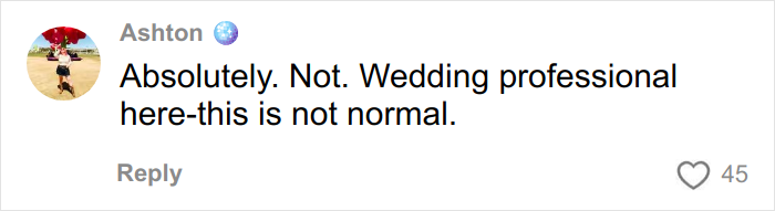 Online comment expressing disapproval of tipping for a wedding dress, highlighting a wedding professional&rsquo;s perspective.