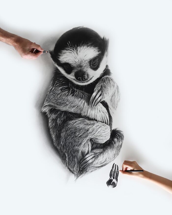 Baby Paws, Sloth
