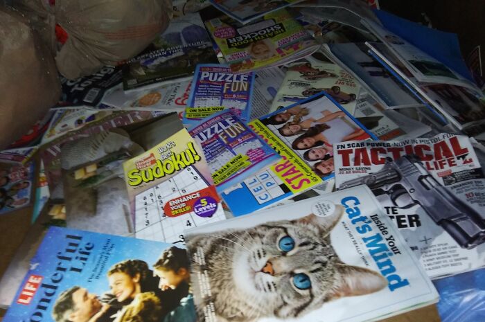 A cluttered elevator pit filled with magazines, puzzle books, and scattered random items creating a strange scene.