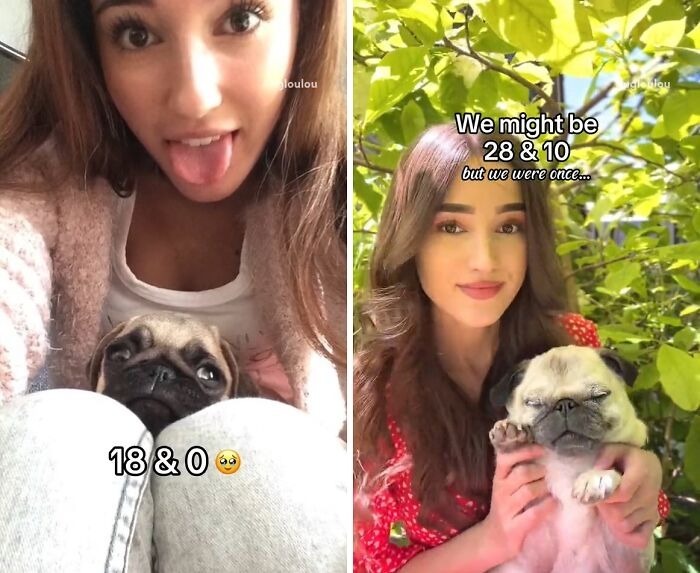 A woman and her pet pug, shown as a puppy and then grown up. Precious photos of pets growing up.