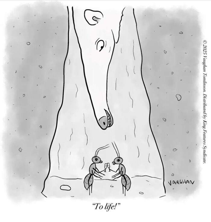 These Clever One-Panel Cartoons By Vaughan Tomlinson Turn Everyday Situations Into Brilliant Absurd Humor (40 New Pics)