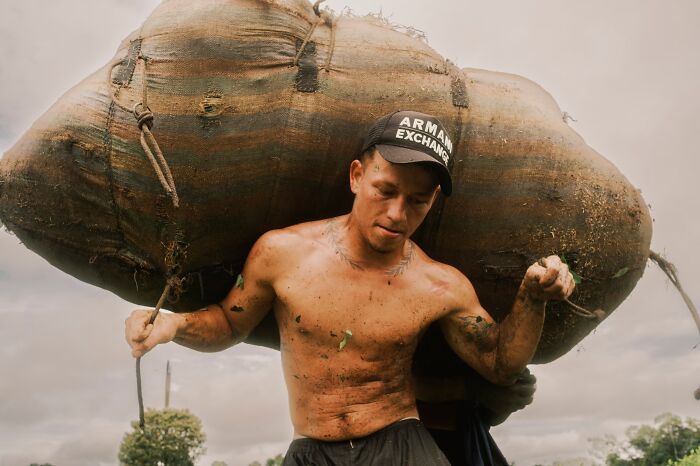 “Under The Shadow Of Coca” By Santiago Mesa