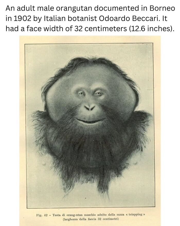 These Fascinating Historical Photos Offer A Rare Glimpse Into The Past (31 Pics)