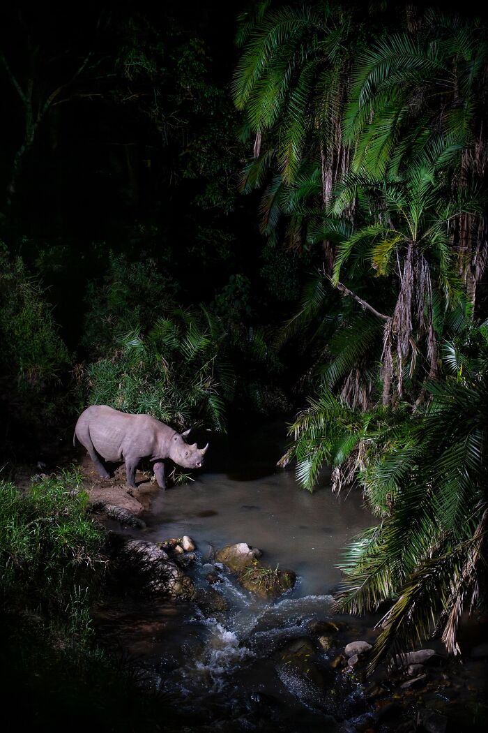 “Crossing Point” By Will Burrard-Lucas