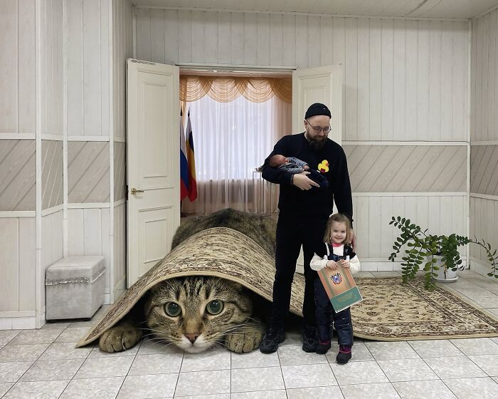 This Artist Keeps Turning Everyday Life Into A World Of Giant Cats, And The Results Are Both Surreal And Hilarious (26 New Pics)
