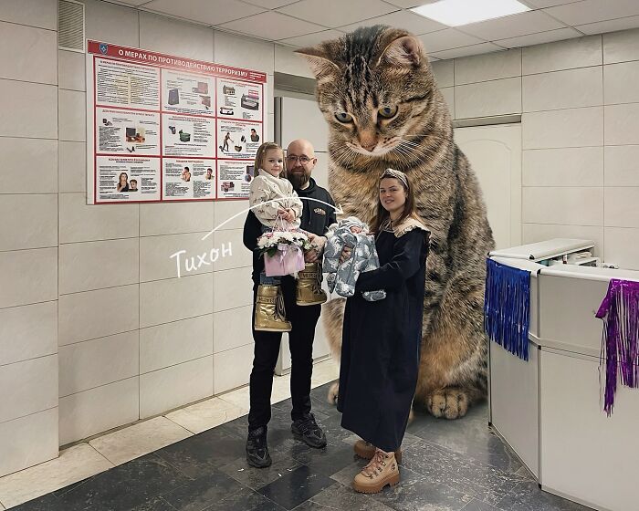 This Artist Keeps Turning Everyday Life Into A World Of Giant Cats, And The Results Are Both Surreal And Hilarious (26 New Pics)
