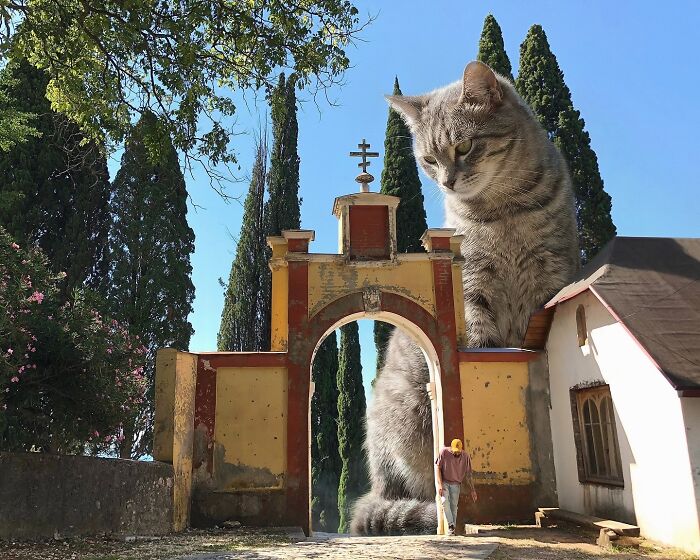This Artist Keeps Turning Everyday Life Into A World Of Giant Cats, And The Results Are Both Surreal And Hilarious (26 New Pics)