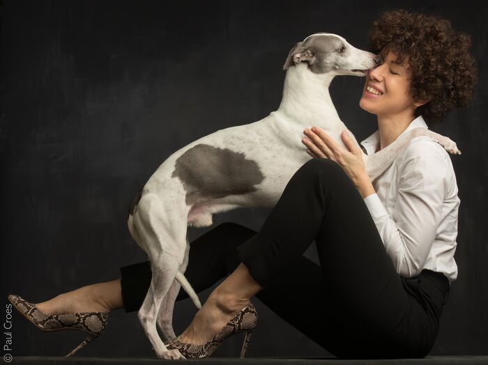 These Studio Portraits Capture The Deep, Silent Bond Between Dogs And Their Humans (30 Pics)