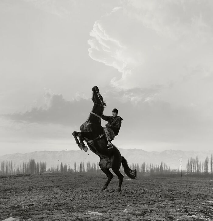 “Buzkashi” By Todd Antony