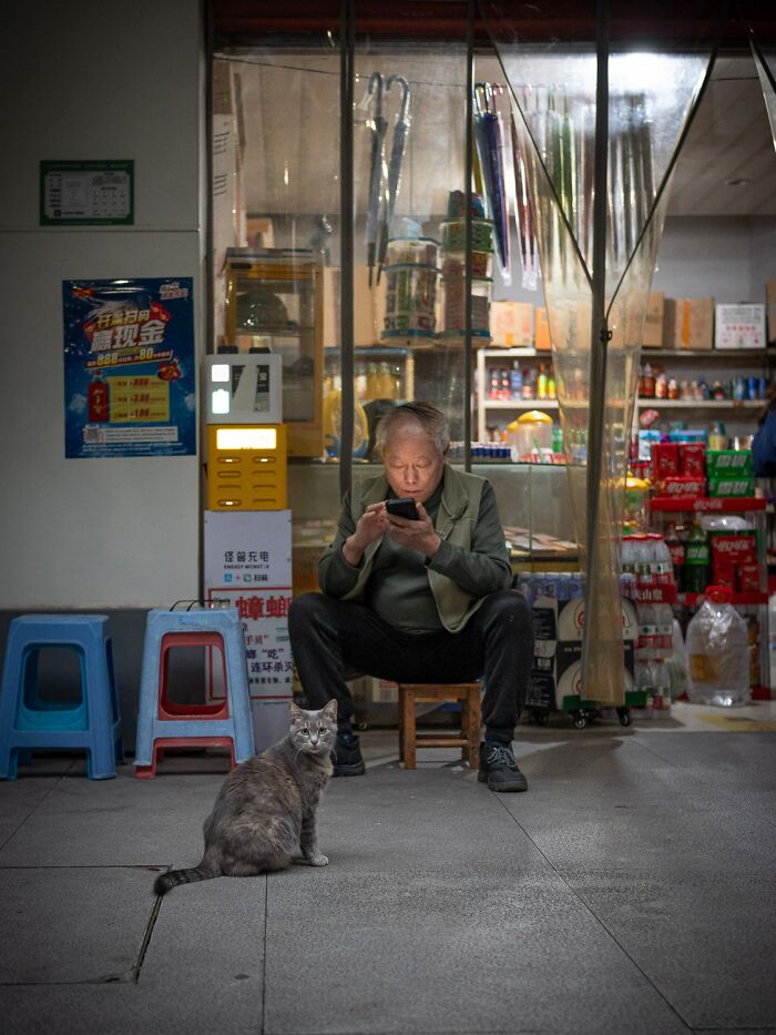 Street Cats Around The World Blend Perfectly Into City Life In Marcel Heijnen’s Photos (41 New Pics)