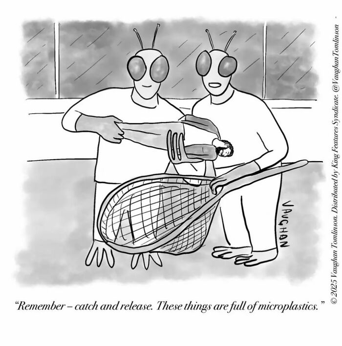 These Clever One-Panel Cartoons By Vaughan Tomlinson Turn Everyday Situations Into Brilliant Absurd Humor (40 New Pics)