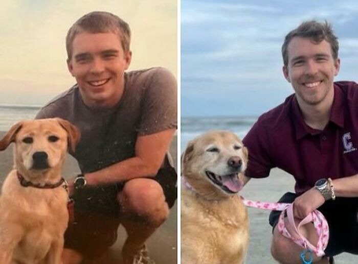 A young man and his pet yellow labrador on the beach, then the same owner and grown up dog years later.