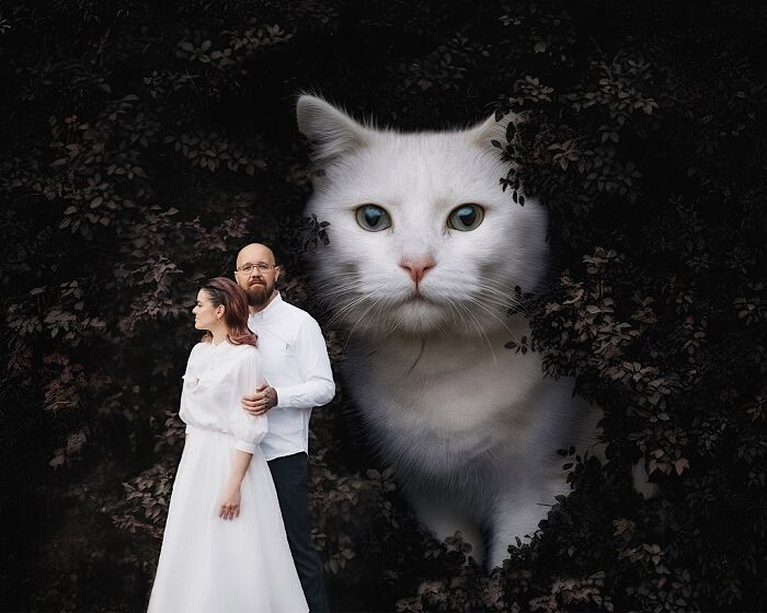 This Artist Keeps Turning Everyday Life Into A World Of Giant Cats, And The Results Are Both Surreal And Hilarious (26 New Pics)