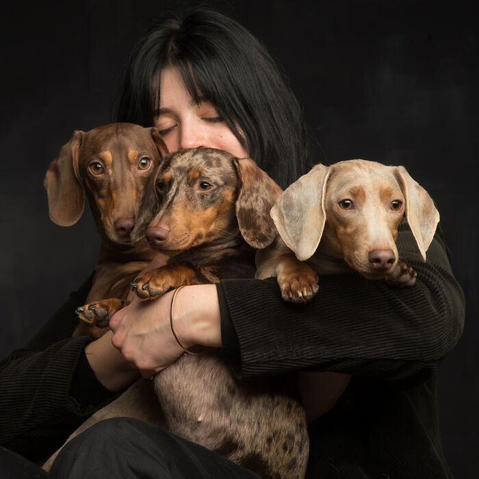 These Studio Portraits Capture The Deep, Silent Bond Between Dogs And Their Humans (30 Pics)
