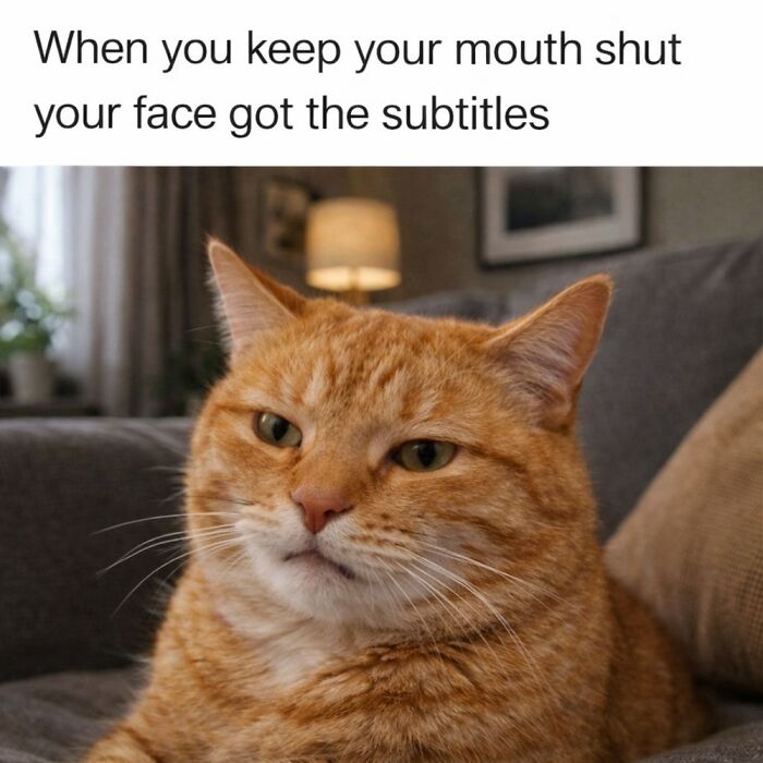 This Instagram Page With Over 4.8 Million Followers Is Delivering The Funniest Cat Memes On The Internet (25 Pics)