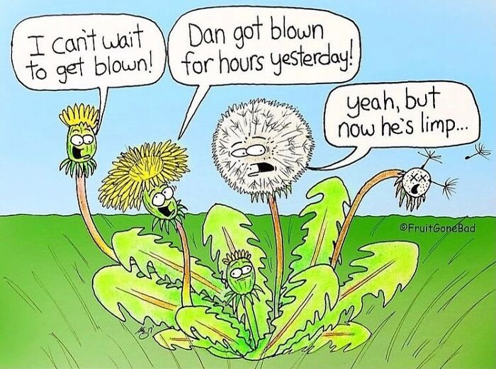 These Hilarious Comics Turn Fruits Into Wild, Slightly Twisted Characters And People Can’t Get Enough (39 New Pics)