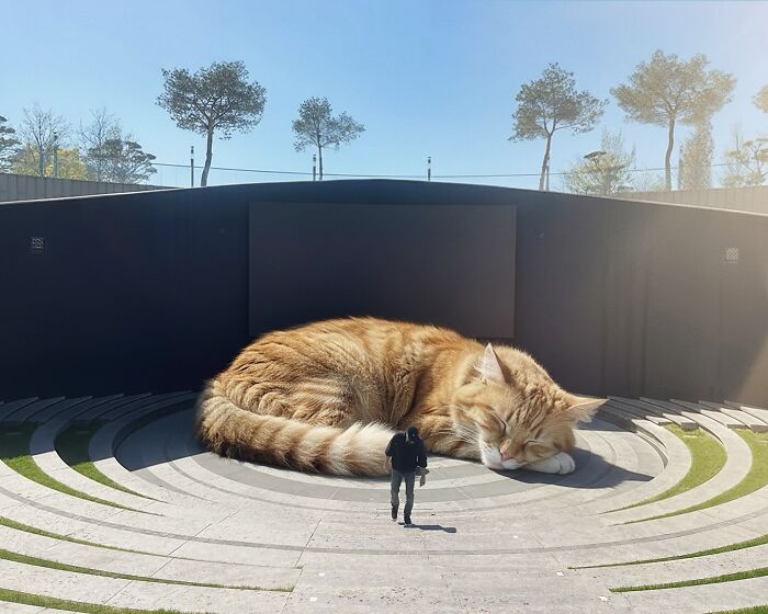 This Artist Keeps Turning Everyday Life Into A World Of Giant Cats, And The Results Are Both Surreal And Hilarious (26 New Pics)