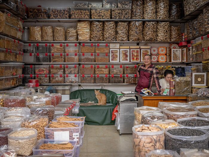 Street Cats Around The World Blend Perfectly Into City Life In Marcel Heijnen’s Photos (41 New Pics)
