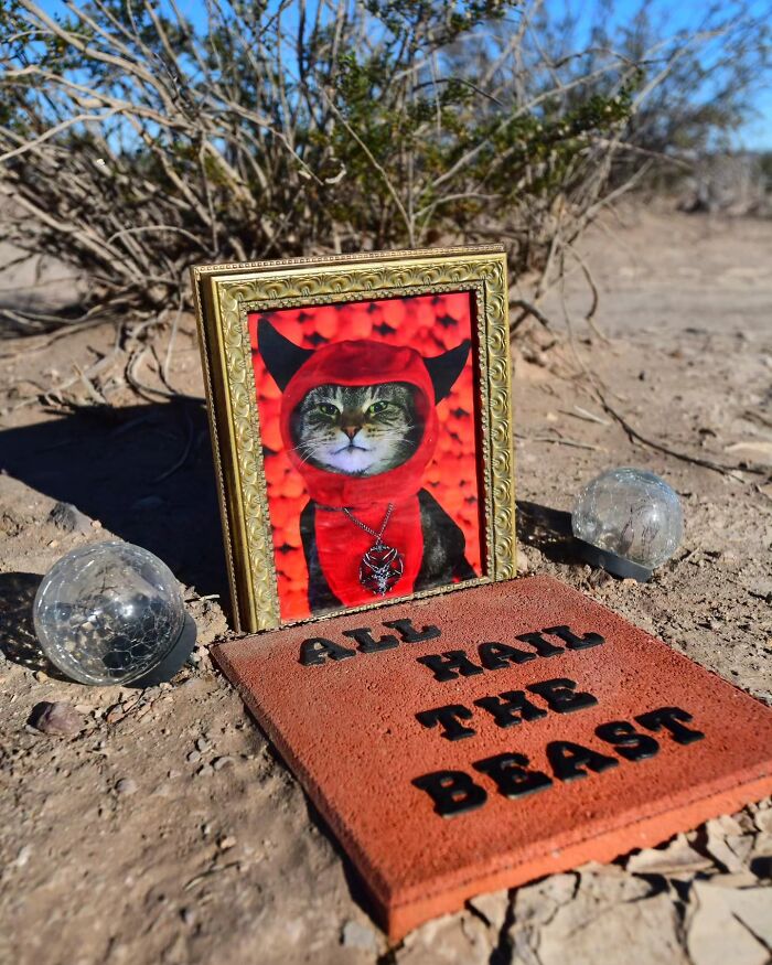 These Touching Pet Memorials Show How Deep The Bond Between Humans And Animals Truly Is (25 New Pics)