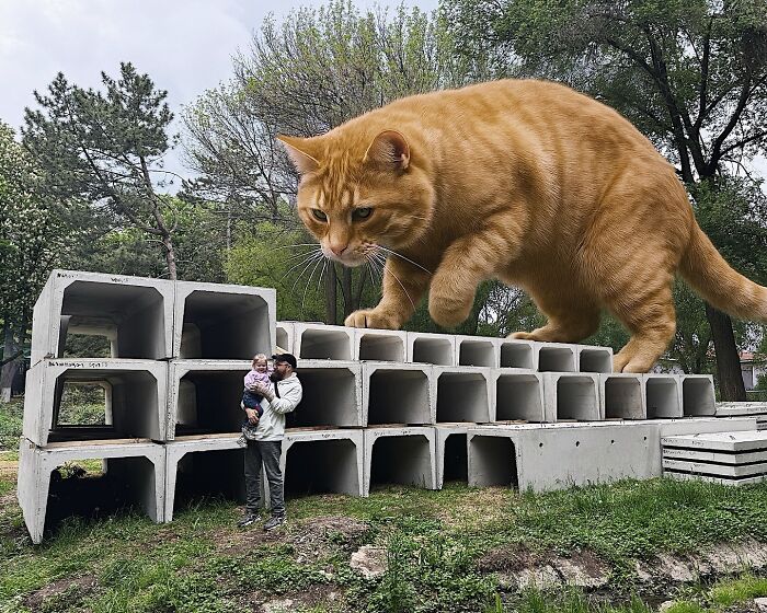 This Artist Keeps Turning Everyday Life Into A World Of Giant Cats, And The Results Are Both Surreal And Hilarious (26 New Pics)