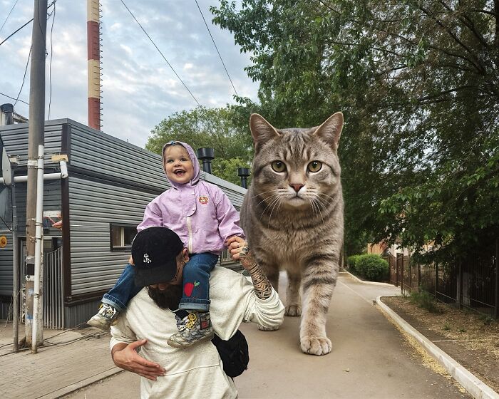 This Artist Keeps Turning Everyday Life Into A World Of Giant Cats, And The Results Are Both Surreal And Hilarious (26 New Pics)