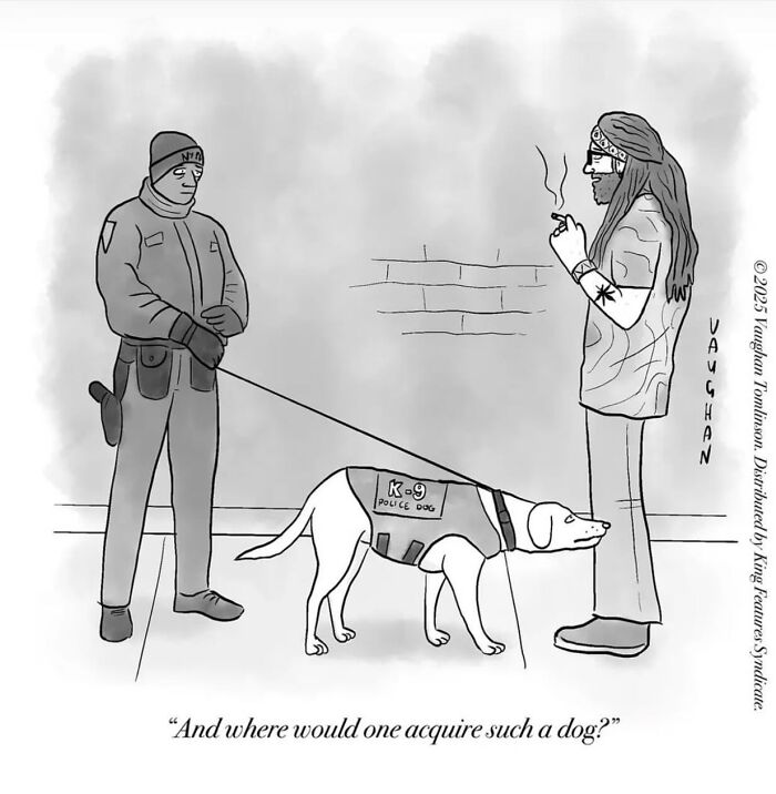 These Clever One-Panel Cartoons By Vaughan Tomlinson Turn Everyday Situations Into Brilliant Absurd Humor (40 New Pics)