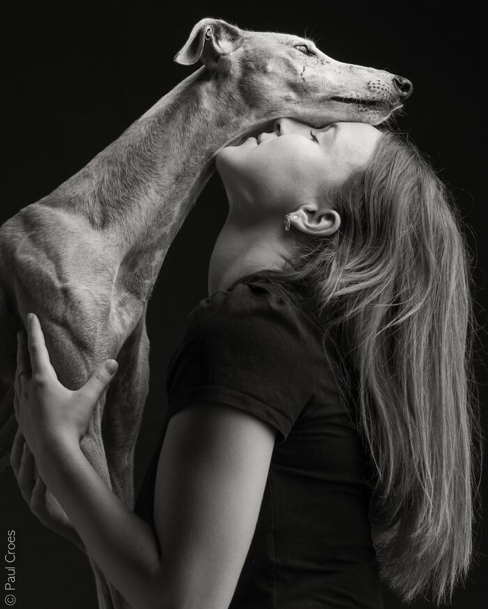 These Studio Portraits Capture The Deep, Silent Bond Between Dogs And Their Humans (30 Pics)