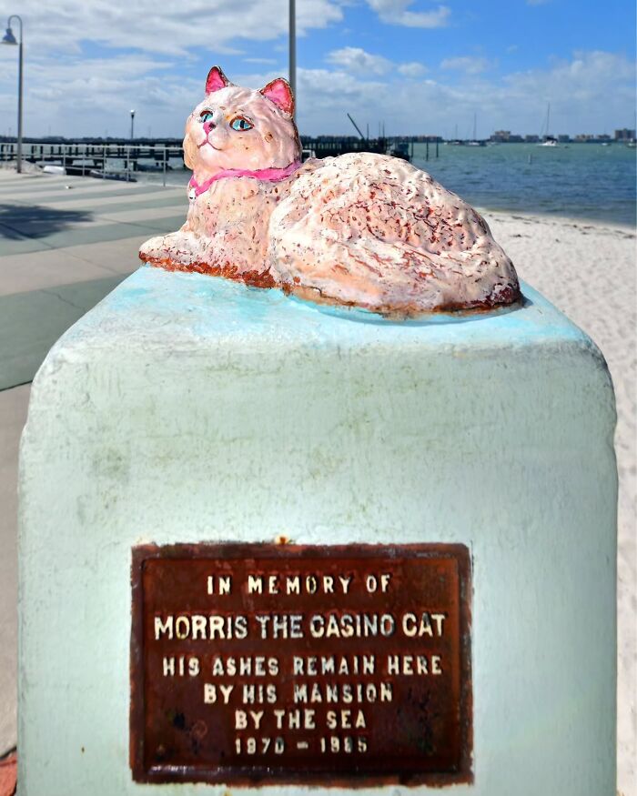 These Touching Pet Memorials Show How Deep The Bond Between Humans And Animals Truly Is (25 New Pics)