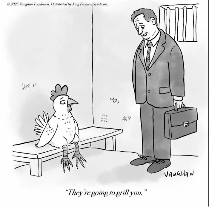 These Clever One-Panel Cartoons By Vaughan Tomlinson Turn Everyday Situations Into Brilliant Absurd Humor (40 New Pics)