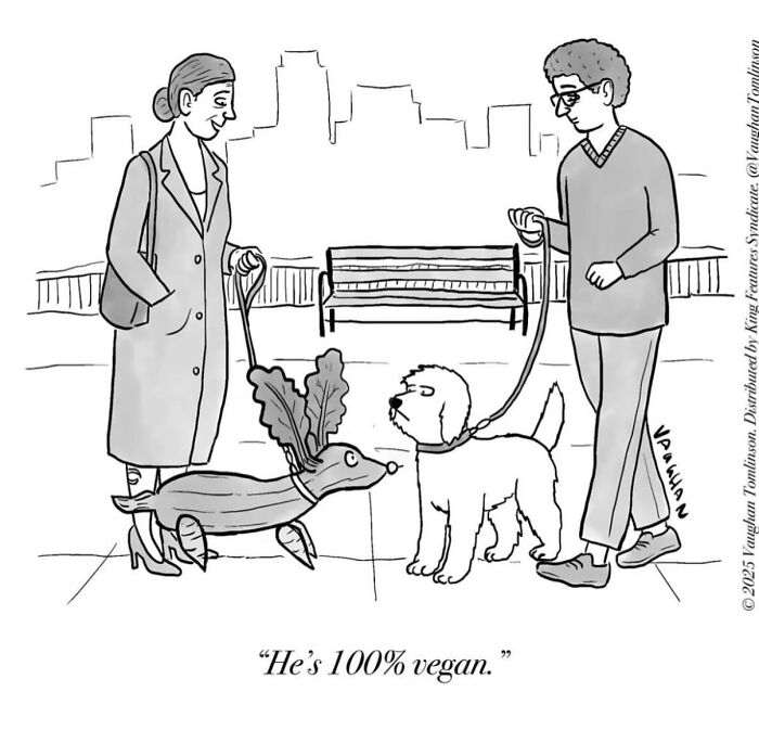 These Clever One-Panel Cartoons By Vaughan Tomlinson Turn Everyday Situations Into Brilliant Absurd Humor (40 New Pics)