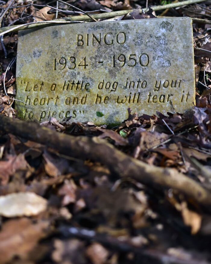 These Touching Pet Memorials Show How Deep The Bond Between Humans And Animals Truly Is (25 New Pics)