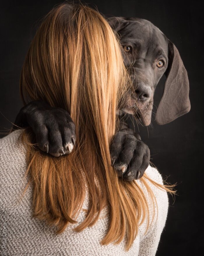 These Studio Portraits Capture The Deep, Silent Bond Between Dogs And Their Humans (30 Pics)