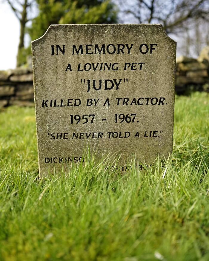 These Touching Pet Memorials Show How Deep The Bond Between Humans And Animals Truly Is (25 New Pics)
