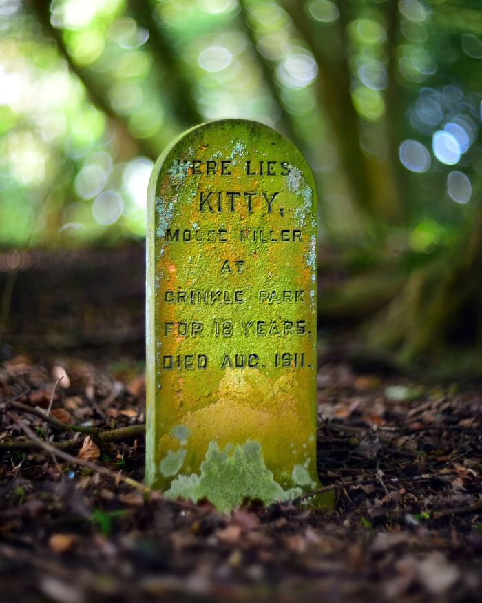 These Touching Pet Memorials Show How Deep The Bond Between Humans And Animals Truly Is (25 New Pics)