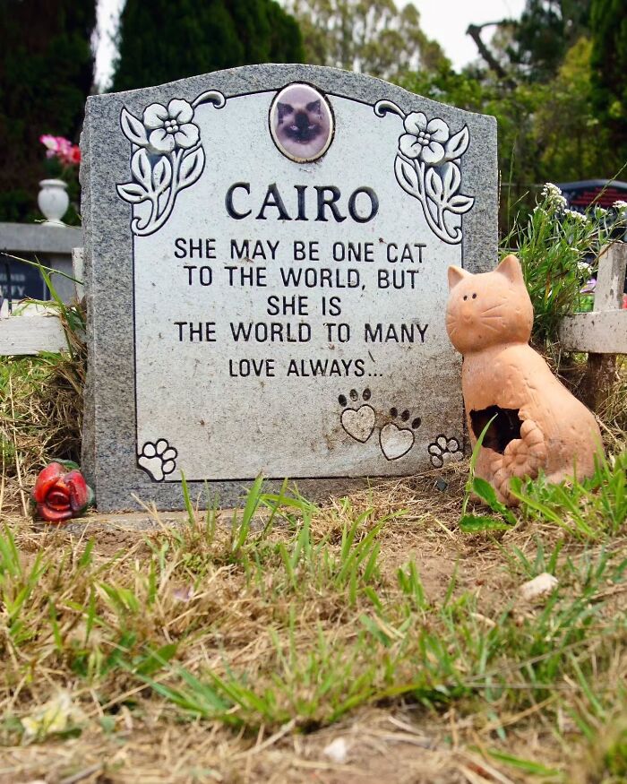 These Touching Pet Memorials Show How Deep The Bond Between Humans And Animals Truly Is (25 New Pics)
